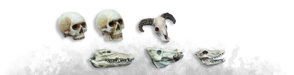Animal skulls, human skulls, orc...
